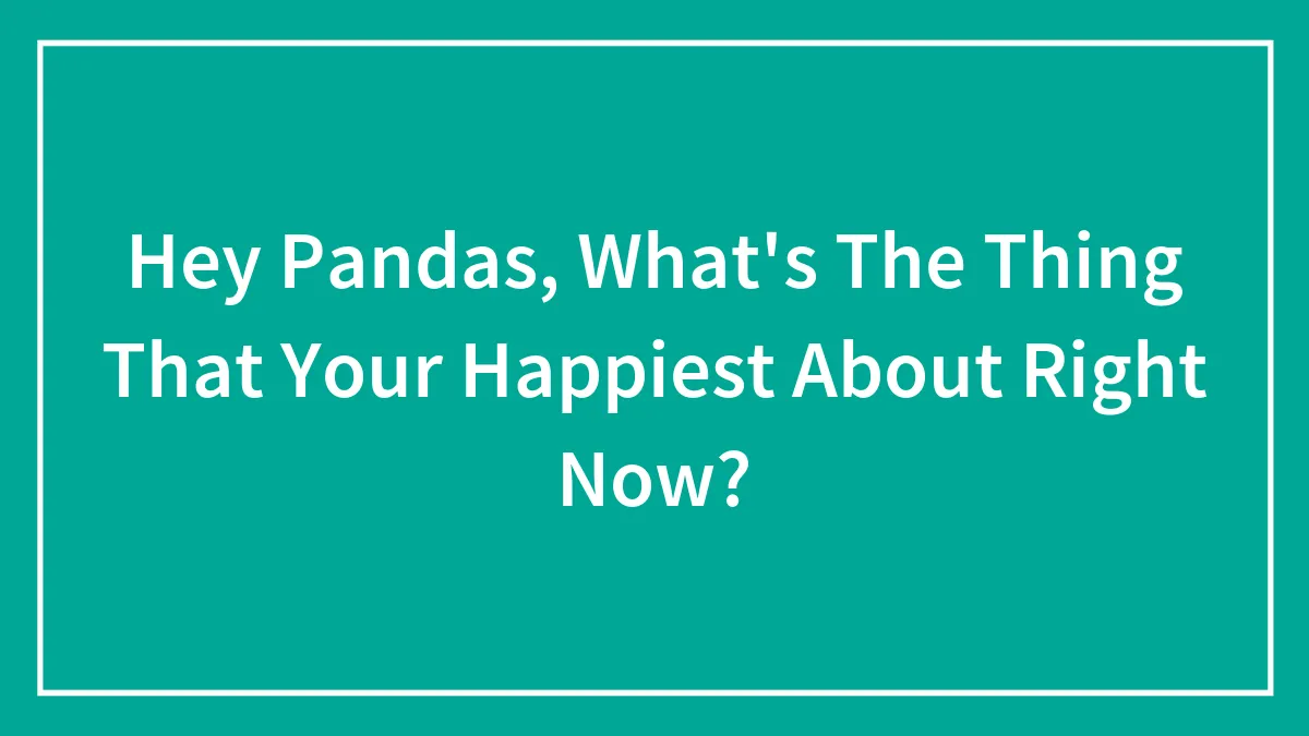 Hey Pandas, What's The Thing That Your Happiest About Right Now?
