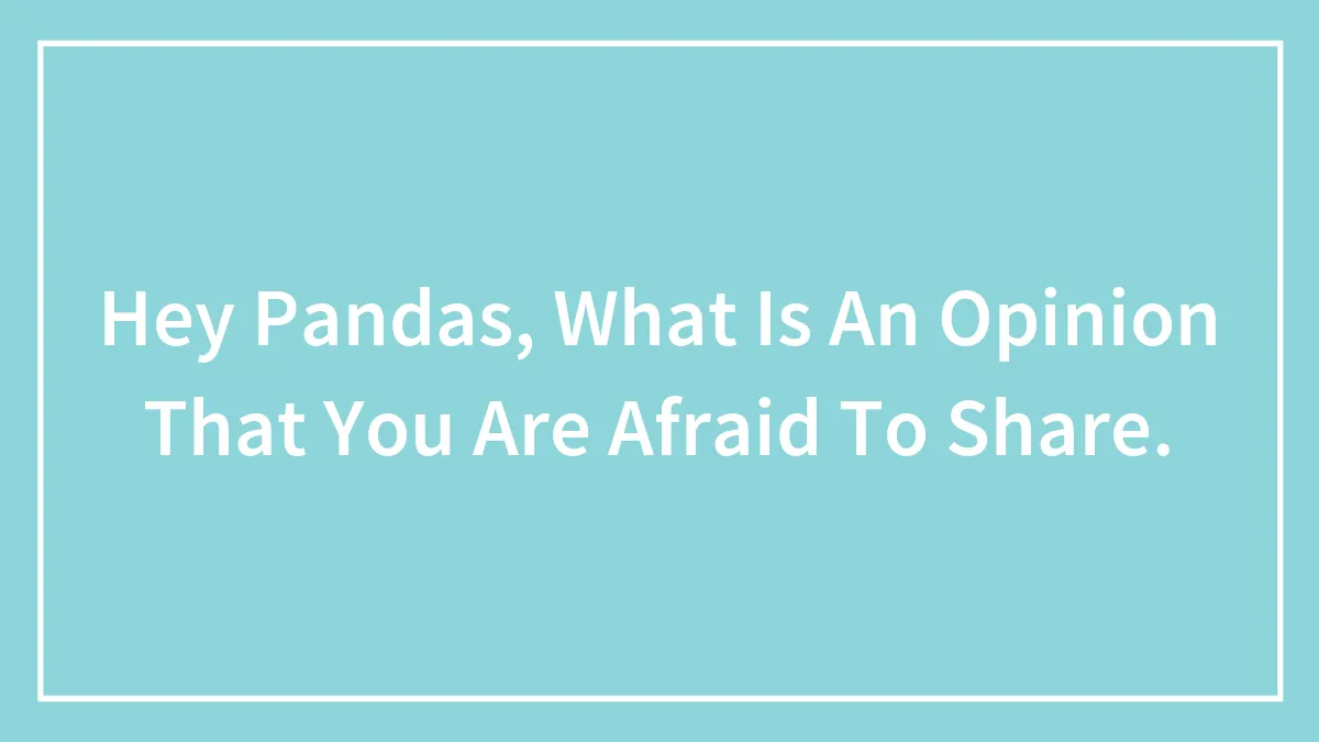 Hey Pandas, What Is An Opinion That You Are Afraid To Share.