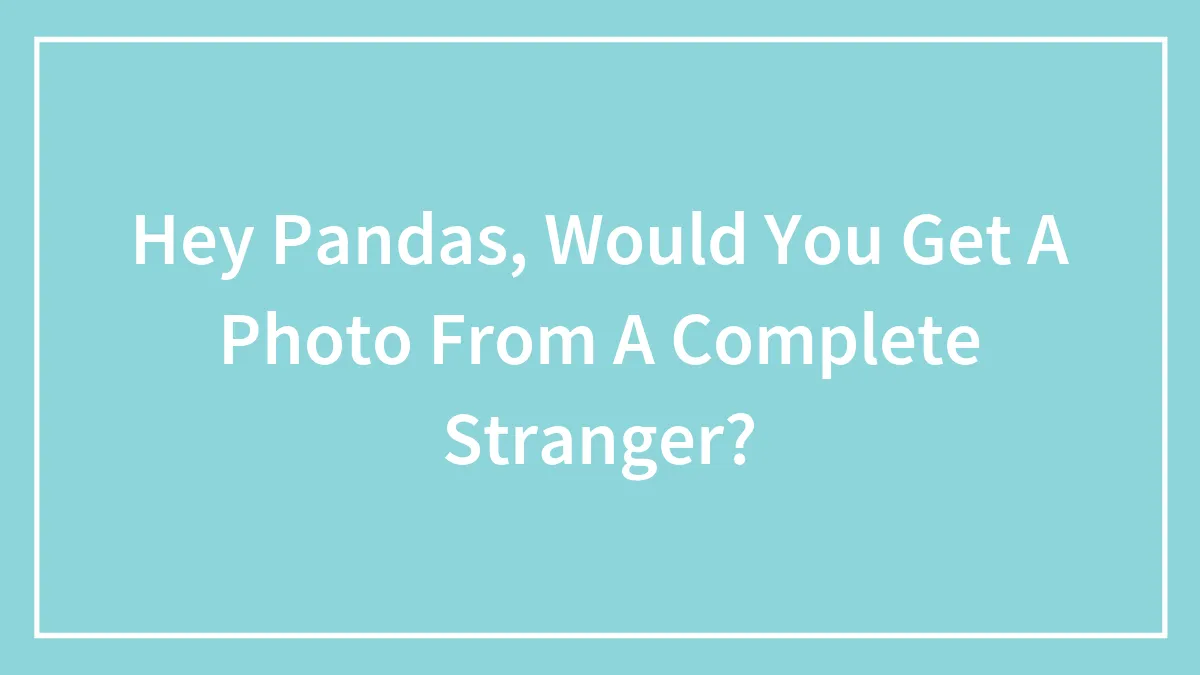 Hey Pandas, Would You Get A Photo From A Complete Stranger?