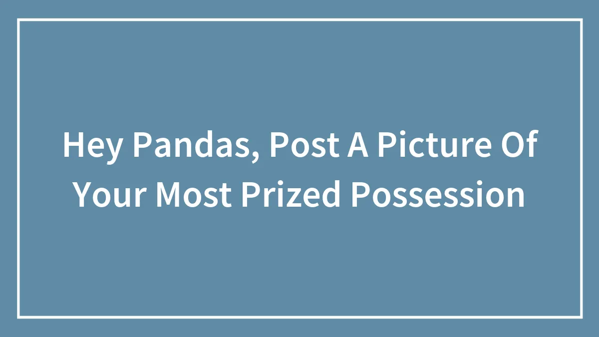 Hey Pandas, Post A Picture Of Your Most Prized Possession