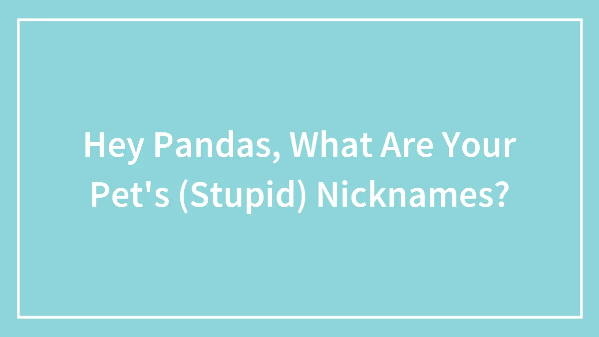 Hey Pandas, What Are Your Pet's (Stupid) Nicknames? (Closed)