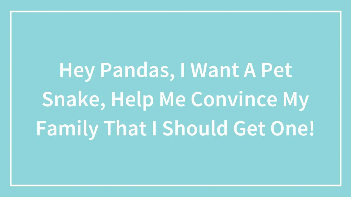 Hey Pandas, I Want A Pet Snake, Help Me Convince My Family That I Should Get One!