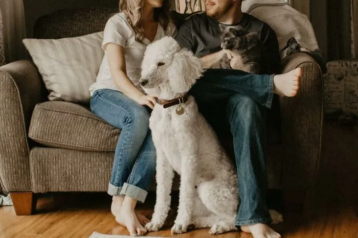 30 Green Flags You Should Look For In New Relationships, As Shared By People In This Online Thread