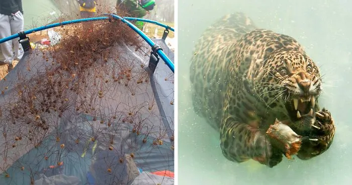 50 Times Mother Nature Proved To Be Scary As Hell (WARNING: This List Might Be Too Scary For You)