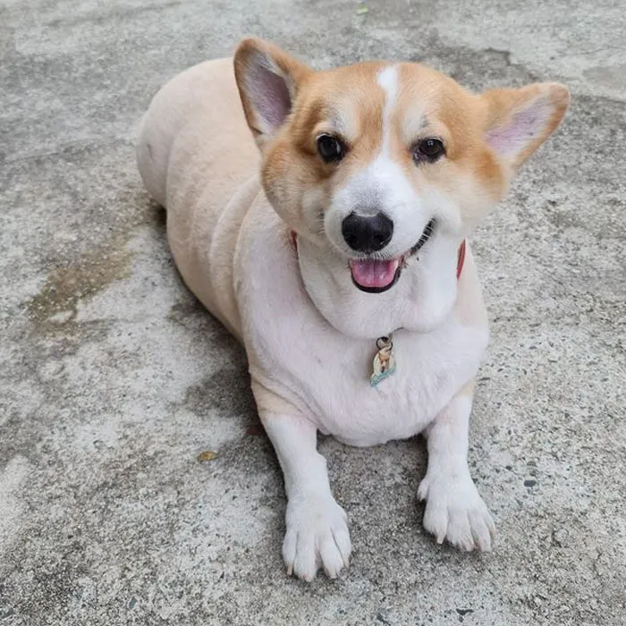 I Met An Entire Loaf Of Bread