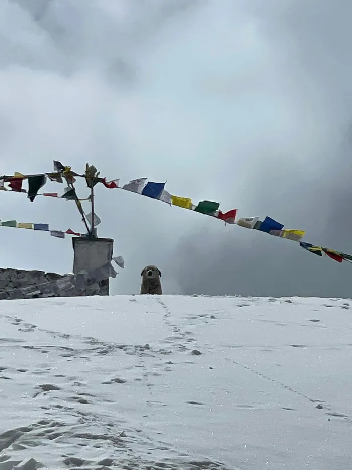 Guarding At 17,800+ Feet!