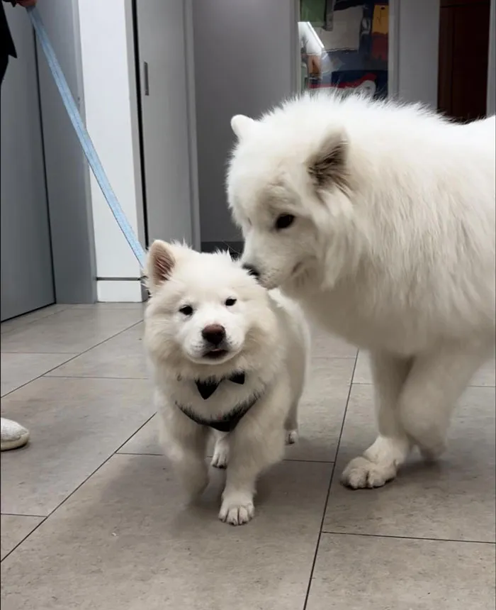 Smol Cloud And Big Cloud