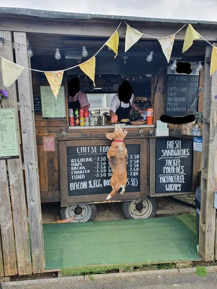 Might As Well Jump (For A Sausage)