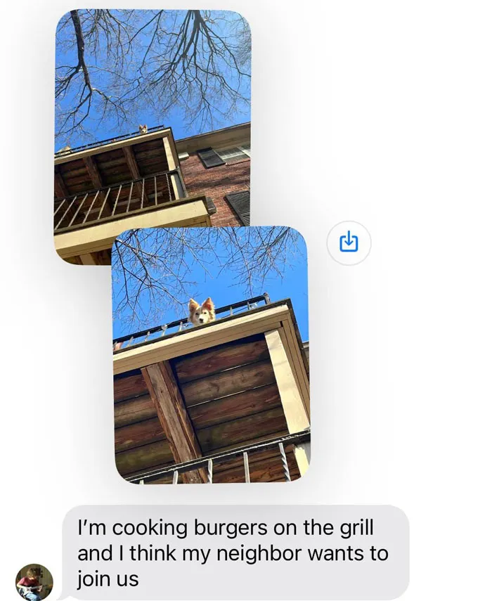 Text From My Son