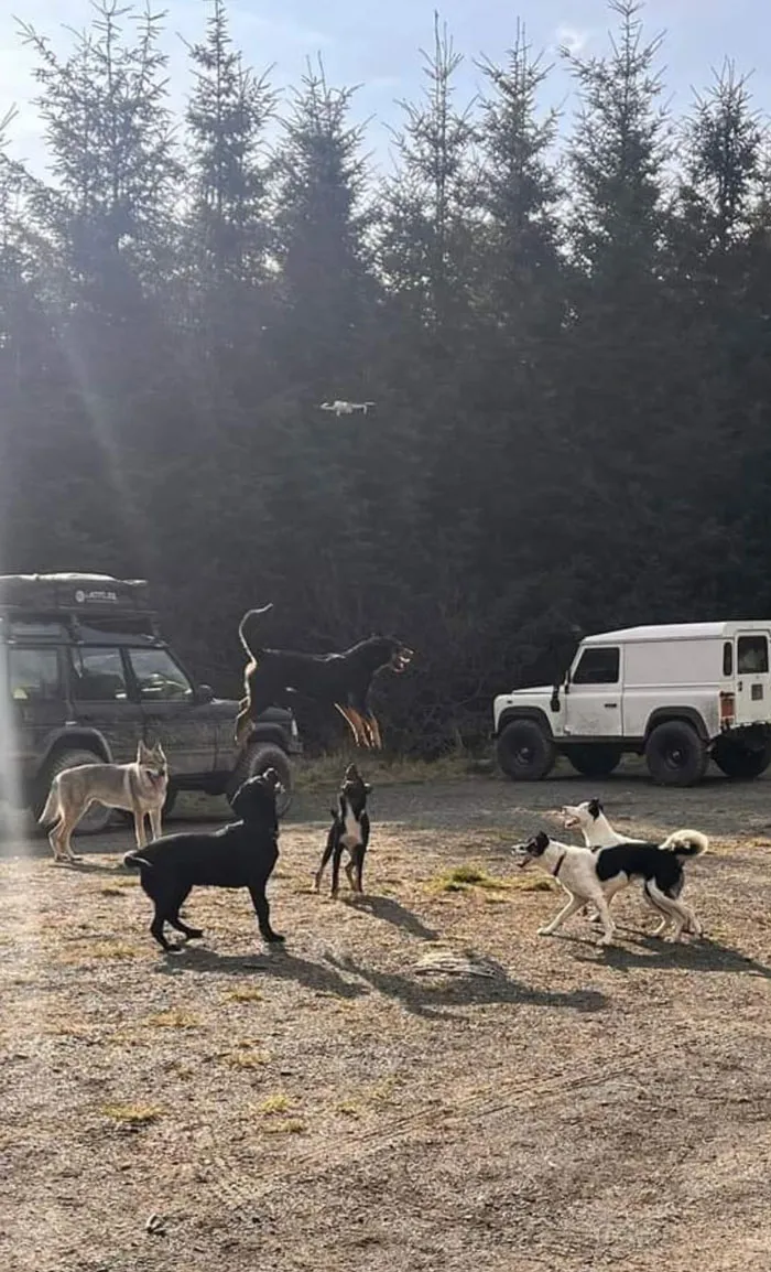 Lo que pasa en bosque, se queda en el bosque...