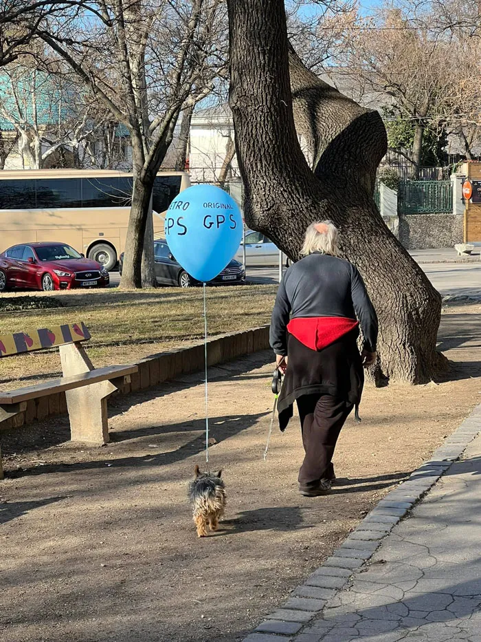 Quality Spot In Budapest One For When The Doggo Might Run Away