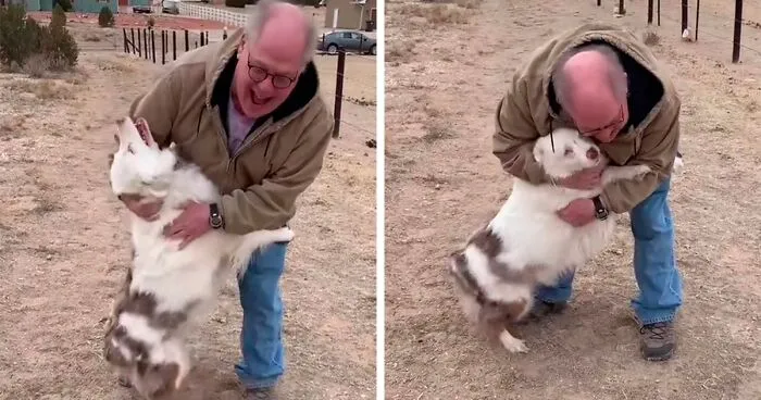 Grandpa’s Worries About Dog Not Recognizing Him After A Year Apart Disappear As Excited Dog Rushes To Him