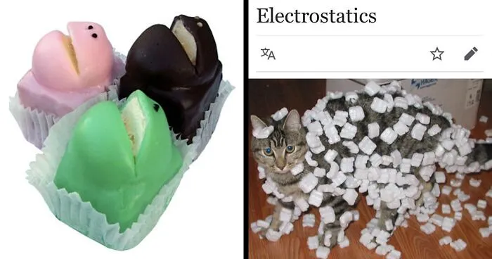 40 Times People Stumbled Upon Something Hilarious On Wikipedia And It Ended Up Being Shared In This Online Group