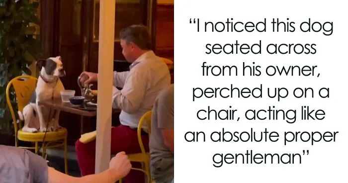 3.8M People Have Adored This Video Of Man Having The Sweetest Dinner Date With His Dog