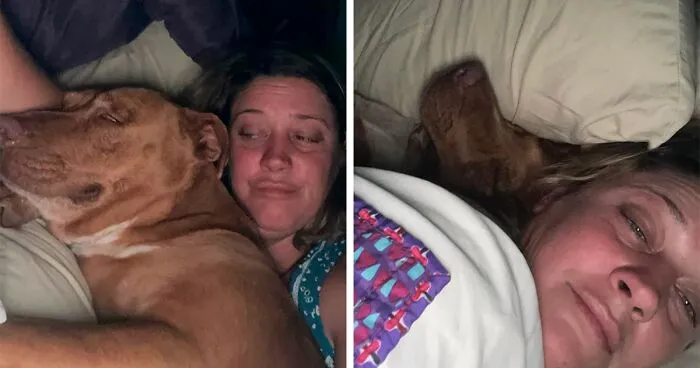 Married Couple Wake Up To Find A Mystery Dog Sleeping In Their Bed
