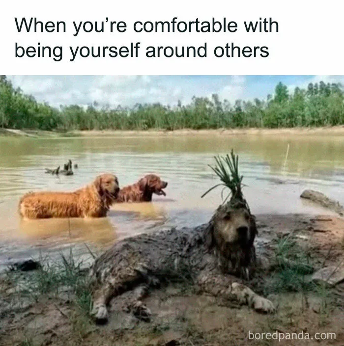 50 Reasons Why Dogs Are Better Than Cats, And Here Are The Pics And Memes To Prove It