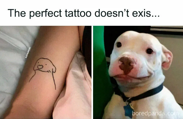 50 Reasons Why Dogs Are Better Than Cats, And Here Are The Pics And Memes To Prove It