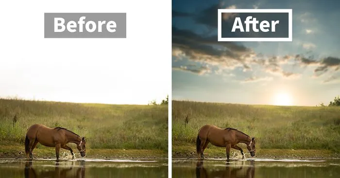 I Want To Show You Some Photography Lessons That I've Learnt In These 19 Photos
