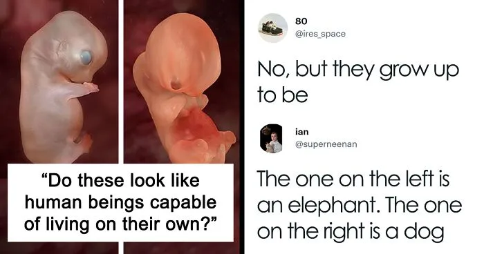 35 Reactions People Posted Online To The Impending US Supreme Court Decision To Overturn Abortion Rights