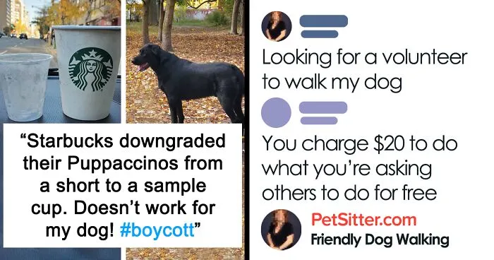 35 Delusional Pet Owners Who Have Lost Touch With Reality