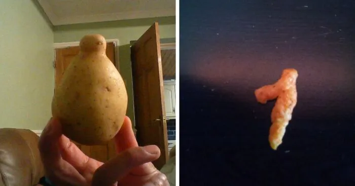 Hey Pandas, Post A Food That Looked Like Something Else (Closed)