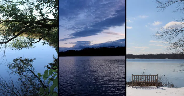 Photographer Captures Nature Through Her Lens On Early Morning Walks (5 Pics)