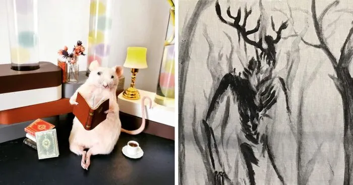 Hey Pandas, What Is Something In Your Room That Other People Find Really Weird Or Disturbing? (Closed)