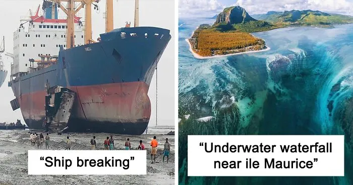 People Are Sharing Their Megalophobia Moments, And Here Are 50 Pics That Creeped Them Out (New Pics)