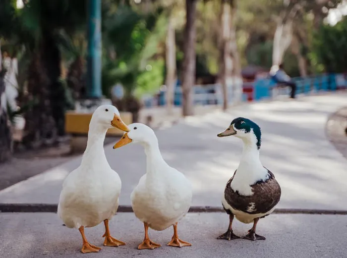 34 Pieces Of Information That Feel Illegal To Know (New Answers)