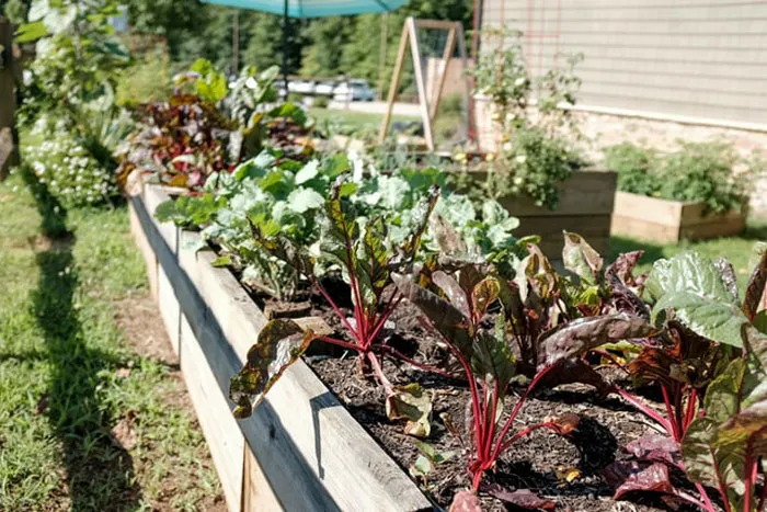 Clever People Are Sharing Their Tips To Living More Frugally, Here Are 30 Of The Best