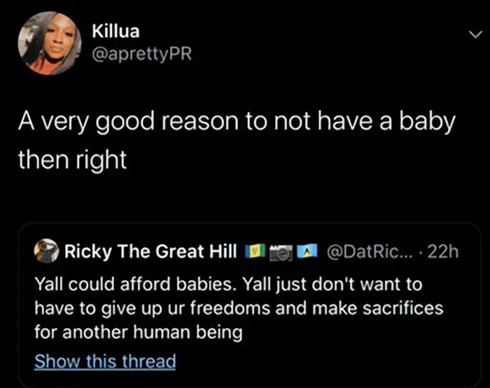 “Childfree Humor”: 35 Jokes And Memes By People Who Don’t Regret Their Childfree Lifestyle