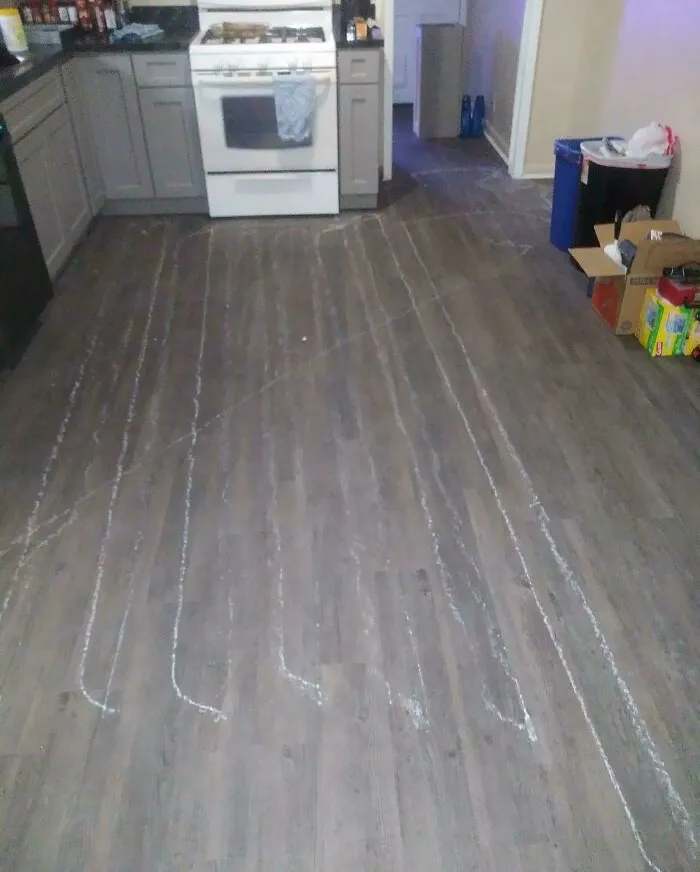 I'm Doing Renovations And My Roomba Found A Tiny Piece Of Sheetrock