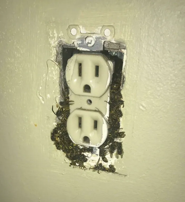 Iba a pintar hoy y me encontré con esta sorpresa