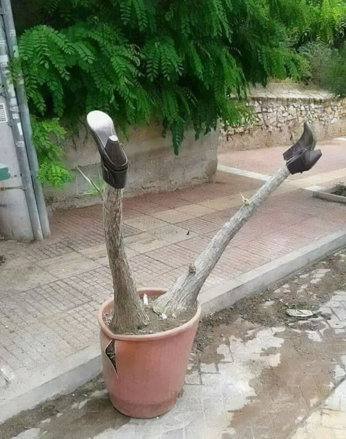 "Some Images": 50 Confusing And Funny Photos Without Any Context, As Shared By This Facebook Page