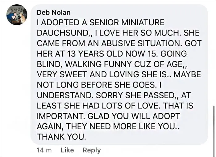 The Wholesome Content Needed At This Point In Time