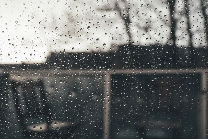 40 New ‘Today I Learned’ Facts That Prove It’s Never Too Late To Learn Something New