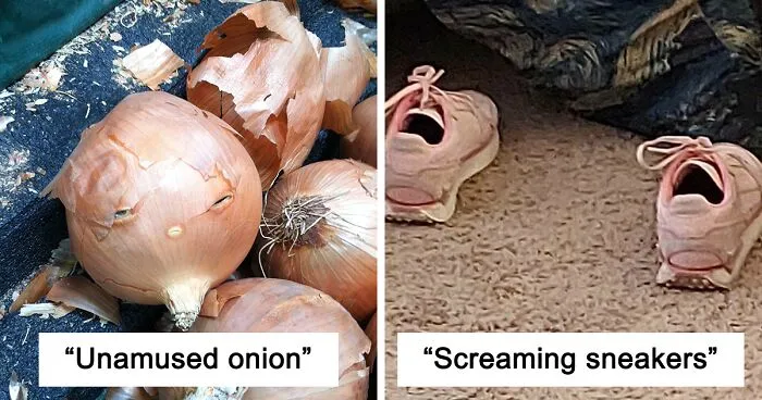 30 Funny Examples Of Pareidolia In Everyday Objects As Shared By The Bored Panda Community