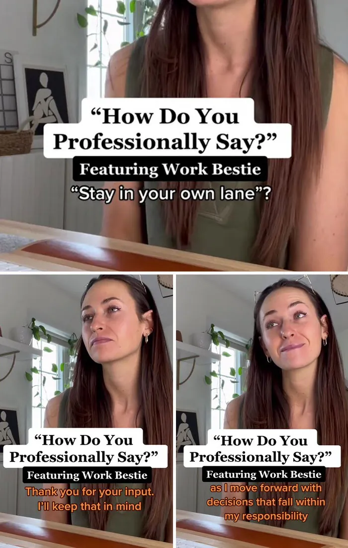 30 Translations From Blunt Insults And Angry Emails Into Professional Language, Shared By This TikToker