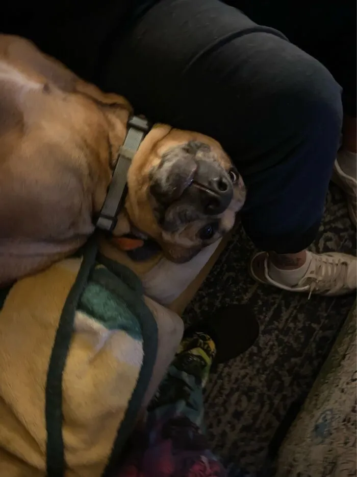 Mils Dog, Cooper. He’s Weird.