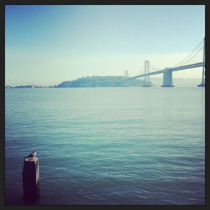 Love The Ocean