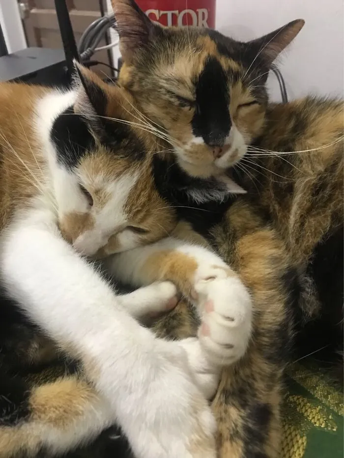 Hugs