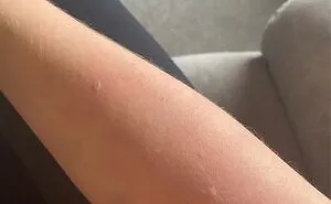 Hey Pandas, Post A Picture That Screams "I Have A Pet" Without Saying You Have A Pet (Closed)