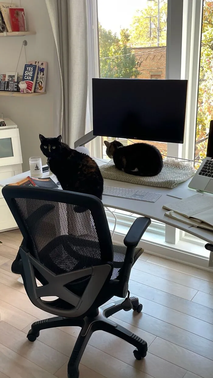 It Is Not A Work Day