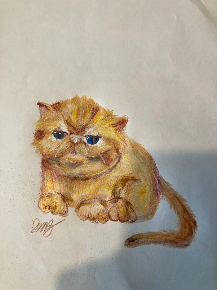 Fluffy Kitten