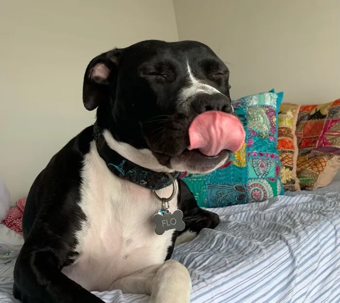 She Does This A Lot