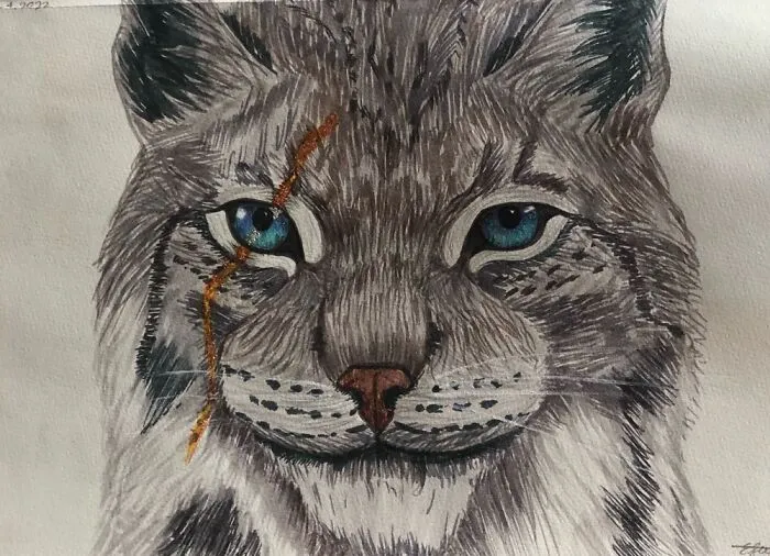 Here's Another Of My Cat Creations