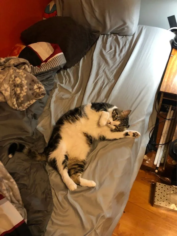 Oakley Stretching