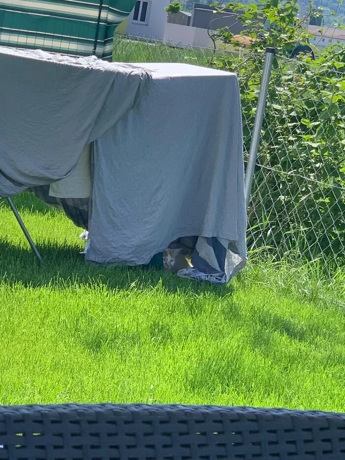 Drying Laundry Outside In Minutes 🥰