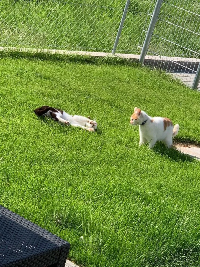 Playing Outside