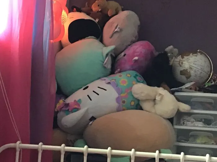 Thousands Of Squishmallows And Other Animals